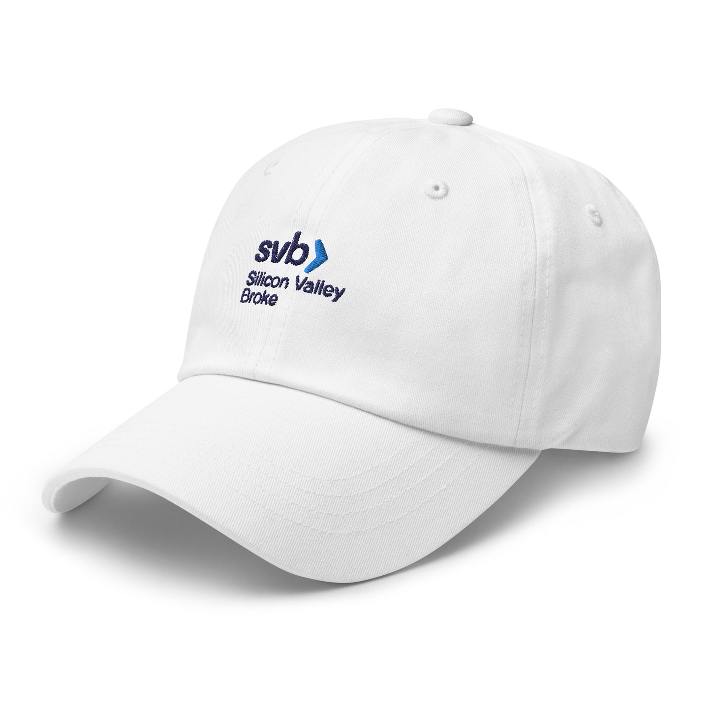 Silicon Valley Broke Hat